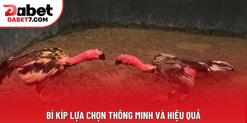 Bí kíp lựa chọn thông minh và hiệu quả