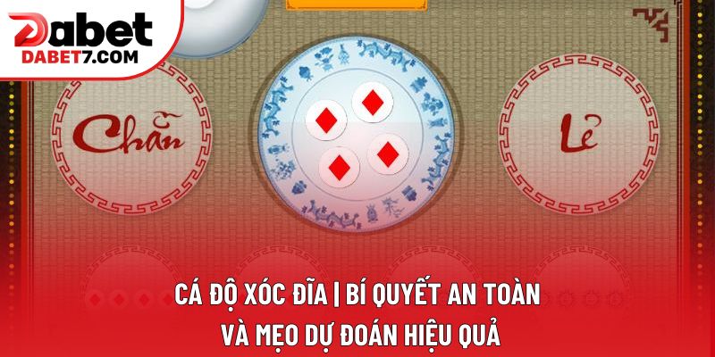 Cá Độ Xóc Đĩa | Bí Quyết An Toàn Và Mẹo Dự Đoán Hiệu Quả