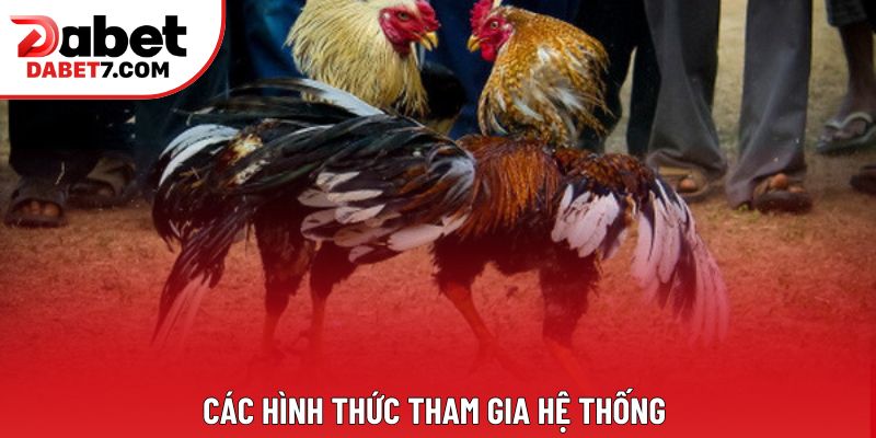 Các hình thức tham gia hệ thống 