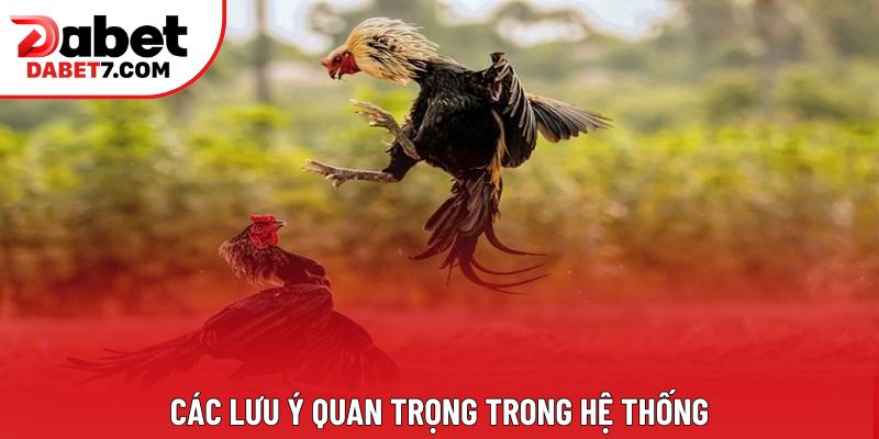 Các lưu ý quan trọng trong hệ thống