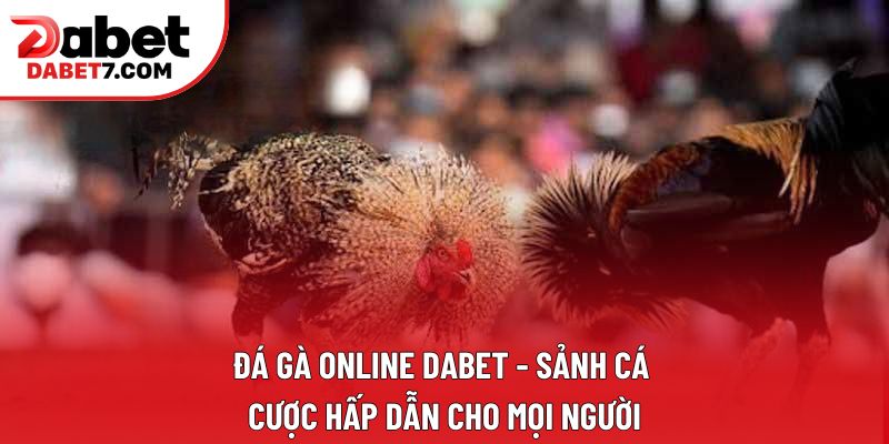 Đá Gà Online DABET - Sảnh Cá Cược Hấp Dẫn Cho Mọi Người