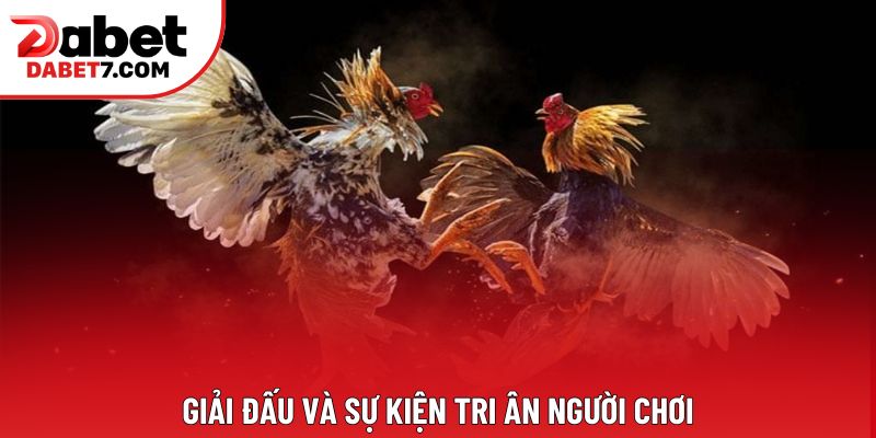 Giải đấu và sự kiện tri ân người chơi