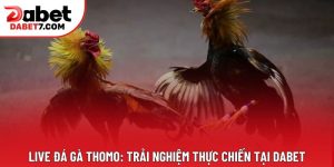 Live Đá Gà Thomo: Trải Nghiệm Thực Chiến Tại DABET