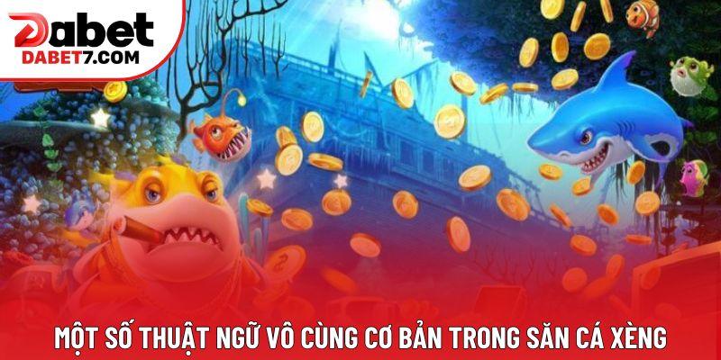 Một số thuật ngữ vô cùng cơ bản trong săn cá xèng