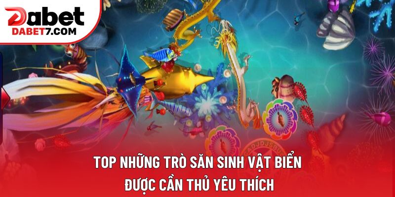 Top những trò săn sinh vật biển được cần thủ yêu thích