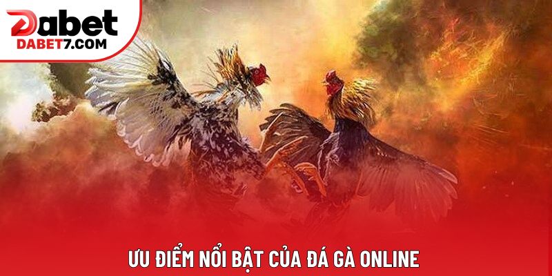 Ưu điểm nổi bật của đá gà online 